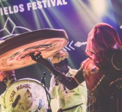 The Magnetic Fields Festival Experience