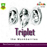 Triplet by The Monkberries