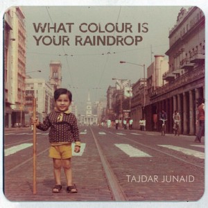 What Colour Is Your Raindrop by Tajdar Junaid
