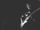 The Bodhisattva Trio to launch new album ‘Heart of Darkness’