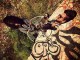 Begum releases new video for ‘Marry Me’